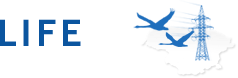 Birds on Electrogrid