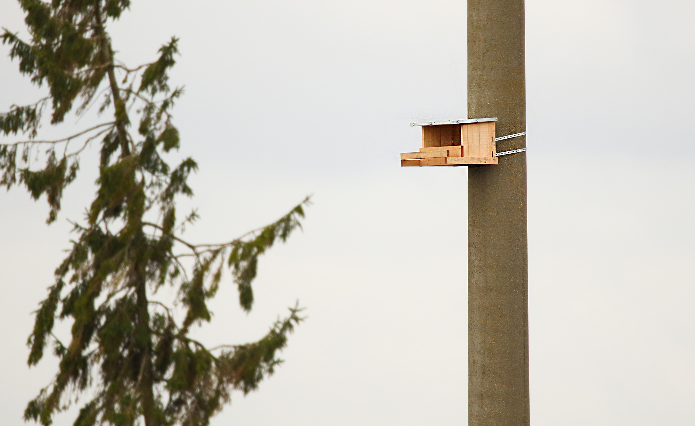 Installation of the birds’ protection measures on the high voltage electricity grid coming to the end